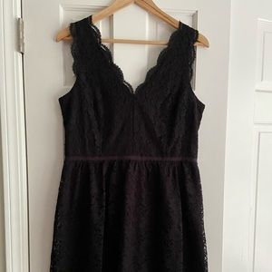 Loft lace dress